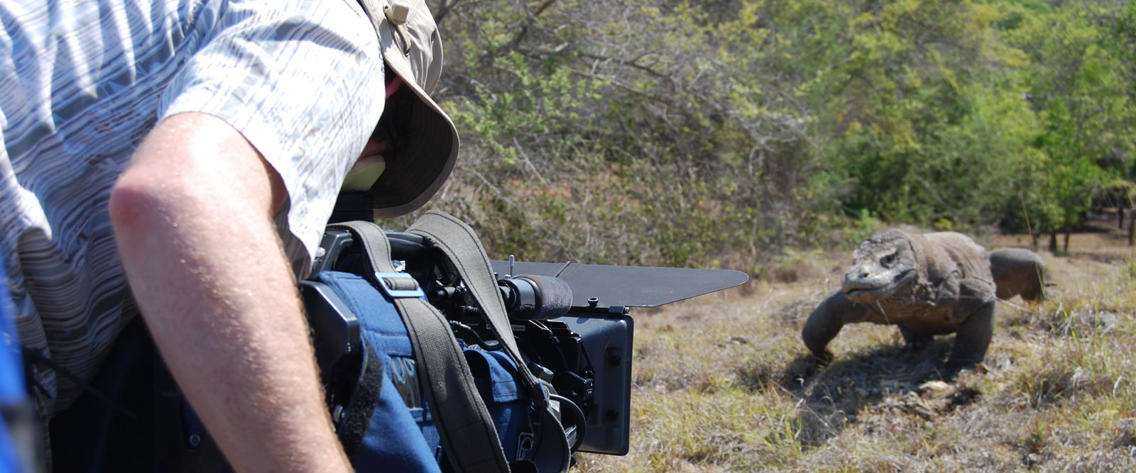 television film services